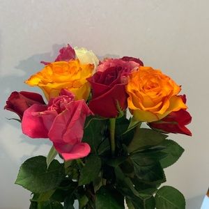 Meet your Posher, Joyce